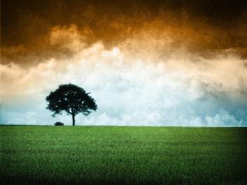 Indian Flag Chakra A3 Hd Poster Art Psi3075 Photographic Paper Abstract Posters In India Buy Art Film Design Movie Music Nature And Educational Paintings Wallpapers At Flipkart Com