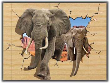 3d View Elephant From Wall 0545 Poster Photographic Paper