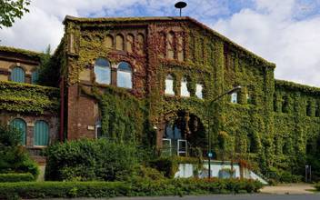 Athah Fine Quality Overgrown House Poster Paper Print Nature Posters In India Buy Art Film Design Movie Music Nature And Educational Paintings Wallpapers At Flipkart Com