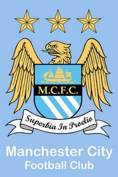 Manchester City Logo Fine Art Print Sports Posters In India Buy Art Film Design Movie Music Nature And Educational Paintings Wallpapers At Flipkart Com