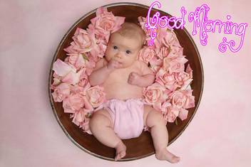 Pink Rose Baby Poster With Good Morning Design Upfk507492 Paper