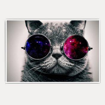 Bossy Cat 18x12 Paper Print Abstract Posters In India Buy