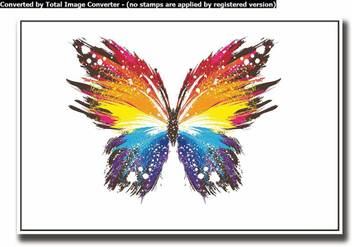 Athah Poster Beautiful Colorful Butterfly Paper Print Art
