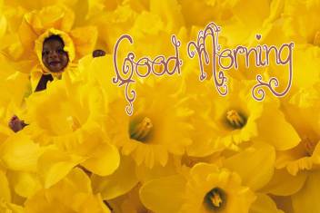 Yellow Flowers Baby Poster With Good Morning Design Upfk502444