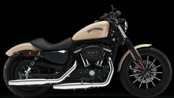 Harley Davidson Sportster Iron 883 Poster Paper Print Shoping