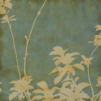 Foliage Silhouettes Ii Fine Art Print Eloise Ball Posters