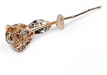 Lavanaya Silver Gold Plated Rose 6 Silver Gifting Price In India Buy Lavanaya Silver Gold Plated Rose 6 Silver Gifting Online At Flipkart Com