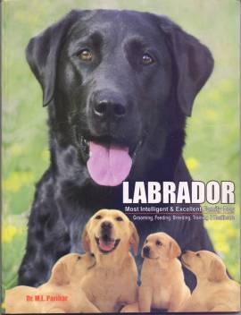 Labrador Buy Labrador By Dr M L Parihar At Low Price In India Flipkart Com