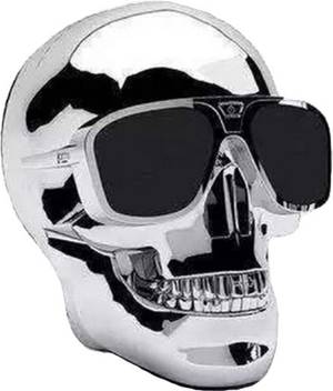 Buy Lichip Lc211 Skull Portable Bluetooth Speaker Online From Flipkart Com