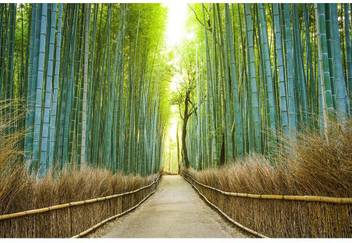 Pitaara Box Kyoto Japan Bamboo Forest Framed Wall Art Painting Print Canvas 14 Inch X 21 Inch Painting Price In India Buy Pitaara Box Kyoto Japan Bamboo Forest Framed Wall Art