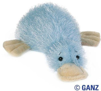 buy webkinz