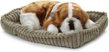 perfect petzzz french bulldog