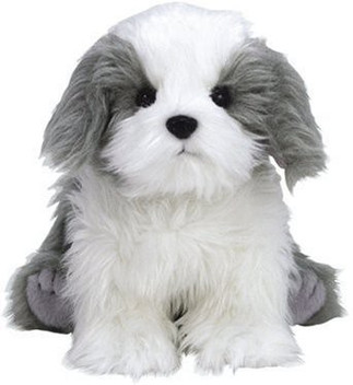 dog accessories flipkart