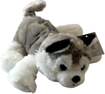 Dog accessories flipkart clearance