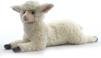 hansa lamb