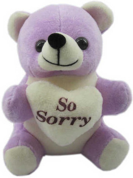 sorry with teddy bear