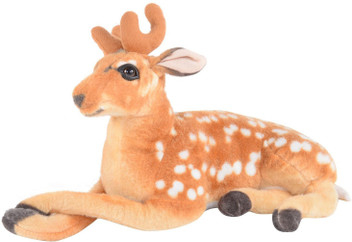 teddy deer