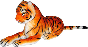 teddy the tiger