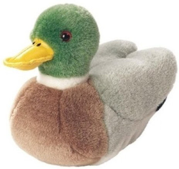 mallard duck teddy