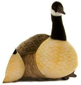 canadian goose plush