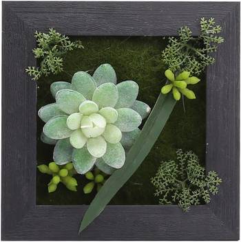 Fourwalls Artificial Succulent Wall Hanging Garden 8 Price In India Buy Fourwalls Artificial Succulent Wall Hanging Garden 8 Online At Flipkart Com