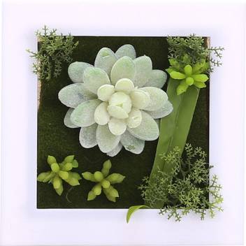 Fourwalls Artificial Succulent Wall Hanging Garden 9 Price In India Buy Fourwalls Artificial Succulent Wall Hanging Garden 9 Online At Flipkart Com