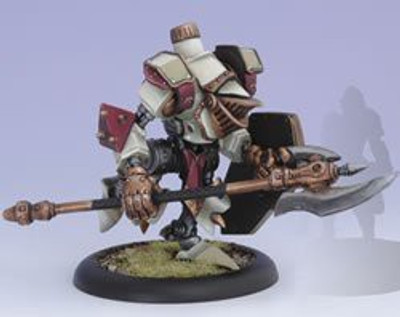

Privateer Press Warmachine Protectorate Devout Model Kit(Multicolor)
