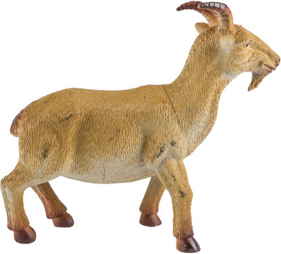 

Venus-Planet of toys Farm Animal Kingdom Figure - Goat Realistic And Highly Detailed 1 Pc Learning Toy For Kids(Yellow)
