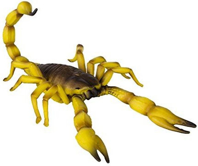 

Safari Ltd Hidden Kingdom Insects Scorpion(Multicolor)