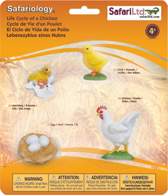Safari Ltd So Life Cycle of a Chicken(Multicolor)