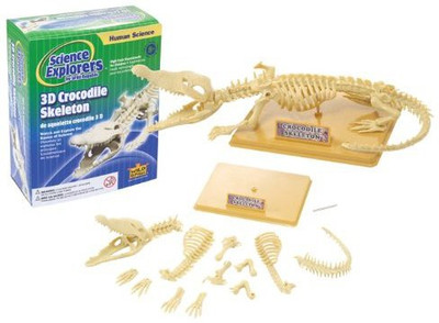 

Wild Republic Science Kit Crocodile Skeleton(Beige)