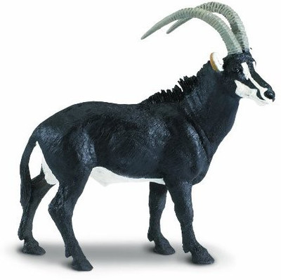

Safari Ltd wild Sable Antelope(Multicolor)