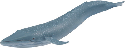 

Safari Ltd WS Sea Life Blue Whale(Multicolor)