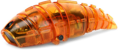

Hex-Bug Larva(Orange)