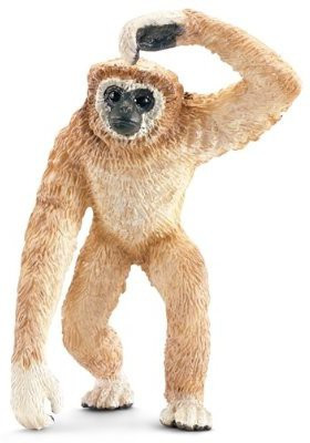

Schleich Adult Gibbon(Multicolor)
