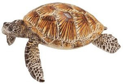 

Schleich Sea Turtle Figure(Multicolor)