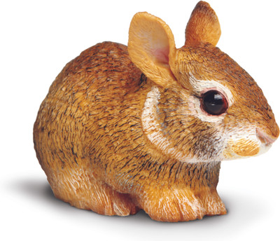 

Safari Ltd Ic Eastern Cottontail Rabbit Baby(Multicolor)