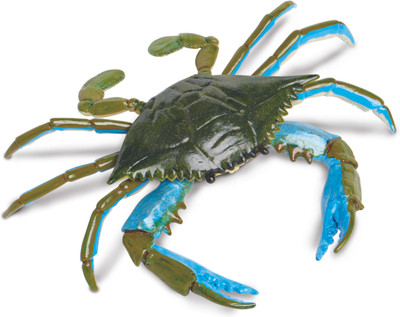 

Safari Ltd IC Blue Crab(Multicolor)