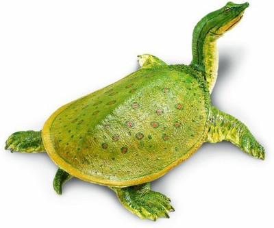

Safari Ltd Incredible Creatures Soft Shell Turtle Realistic Hand(Green)