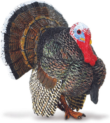 Safari Ltd Sf Turkey(Multicolor) Safari Ltd Sf Turkey(Multicolor)