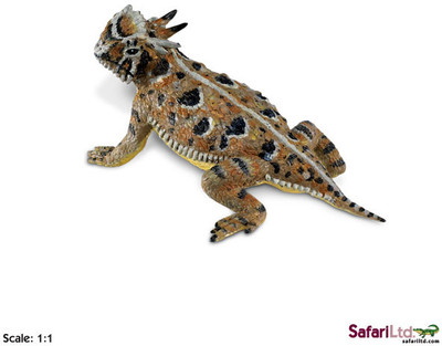 

Safari Ltd Ic Horned Lizard(Multicolor)