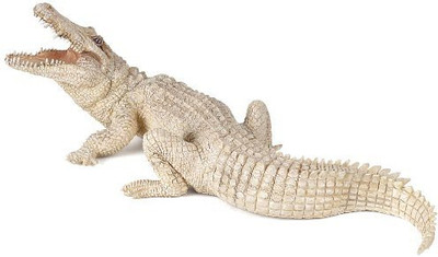

Papo White Crocodile(Beige)
