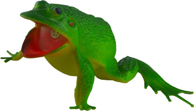 

Shop4everything Animal Kingdom Happy Frog(Green)