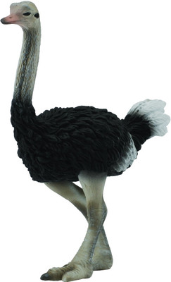 

Collecta Ostrich(Black, Grey)