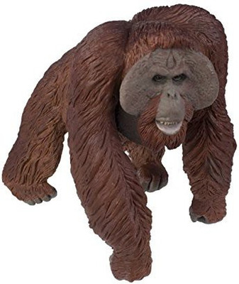

Safari Ltd Wildlife Wonders Bornean Orangutan(Brown)