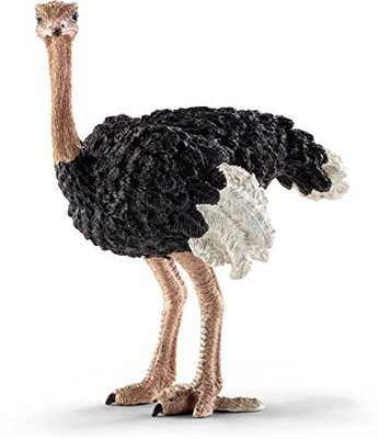 

Schleich Ostrich Figurine(Multicolor)