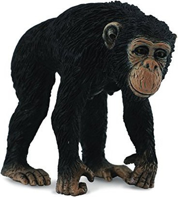 

Collecta Chimpanzee Female(Multicolor)