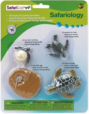 

Safari Ltd So Life Cycle of a Green Sea Turtle(Multicolor)