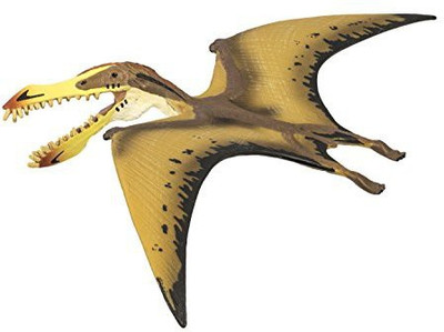 

Safari Ltd Wild Safari Pterosaur(Multicolor)