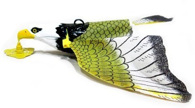 

Impex Revolve Fly Eagle(Multicolor)